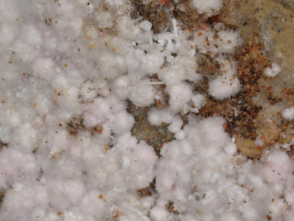 Picropharmacolite